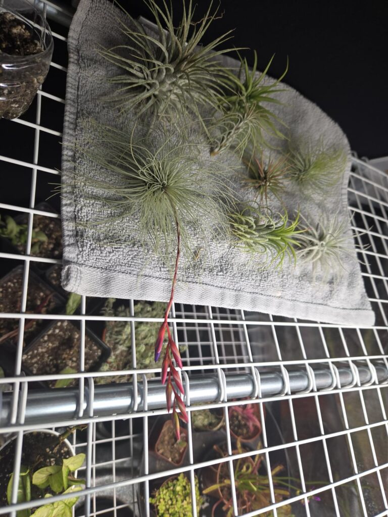 Look at how beautiful she is! LOOK