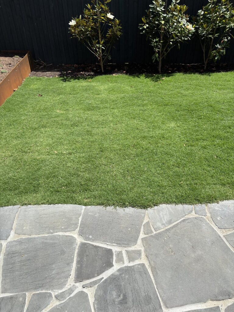 When to first cut tiff tuff instant law