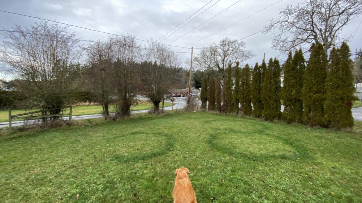 Does anyone know what’s causing these circles?