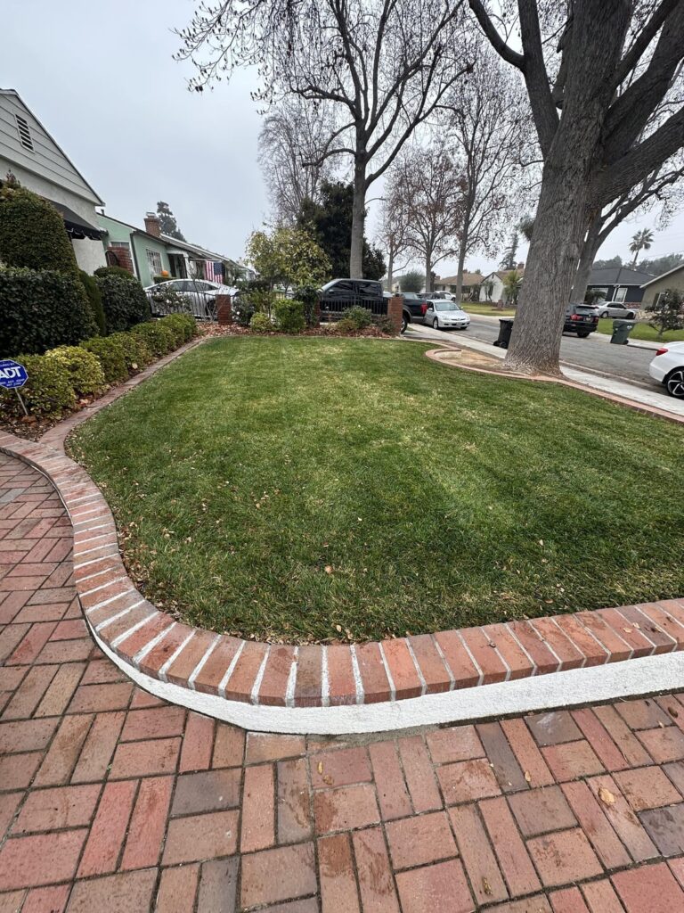 Need help with my lawn