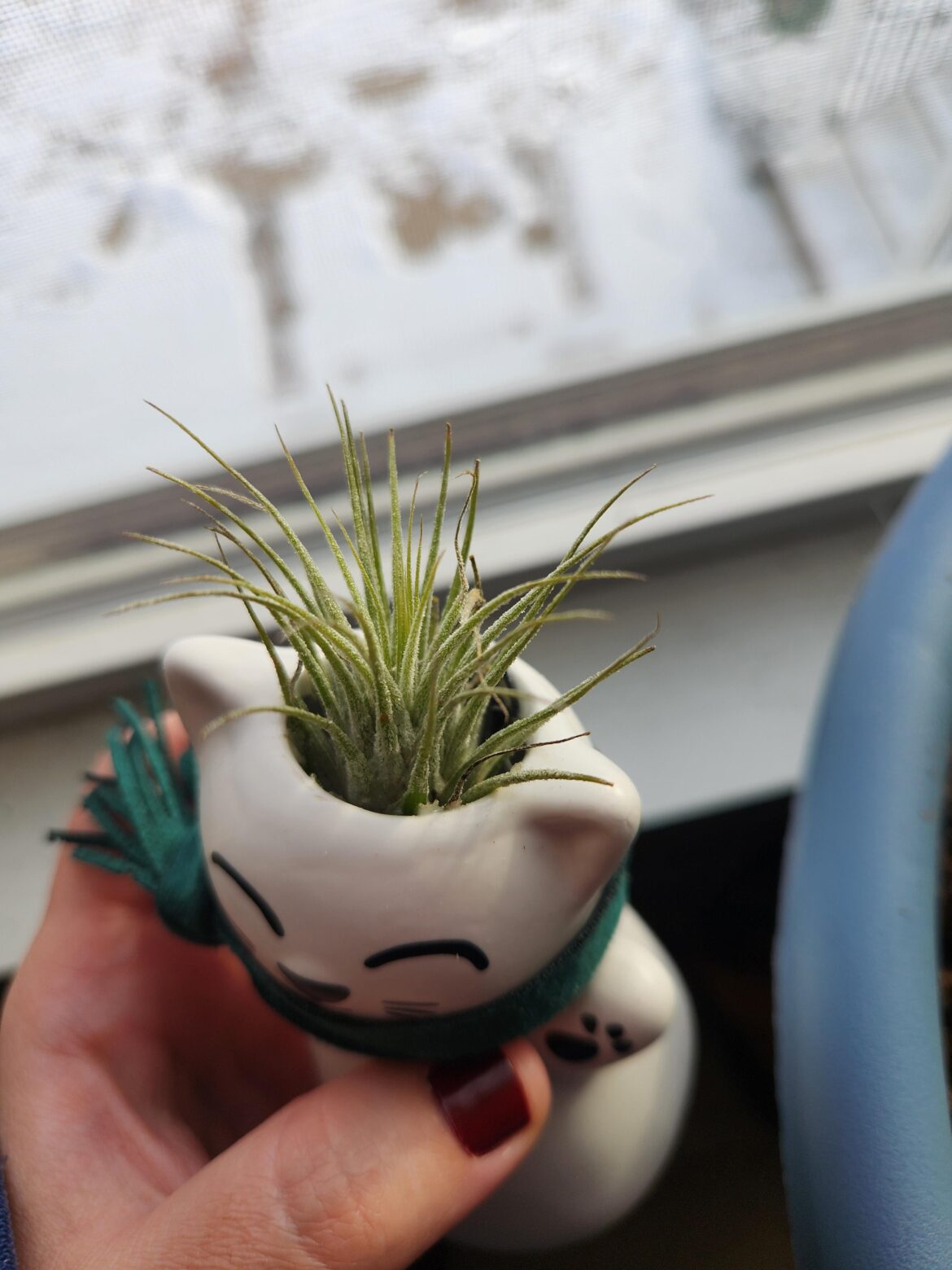 Identification Needed