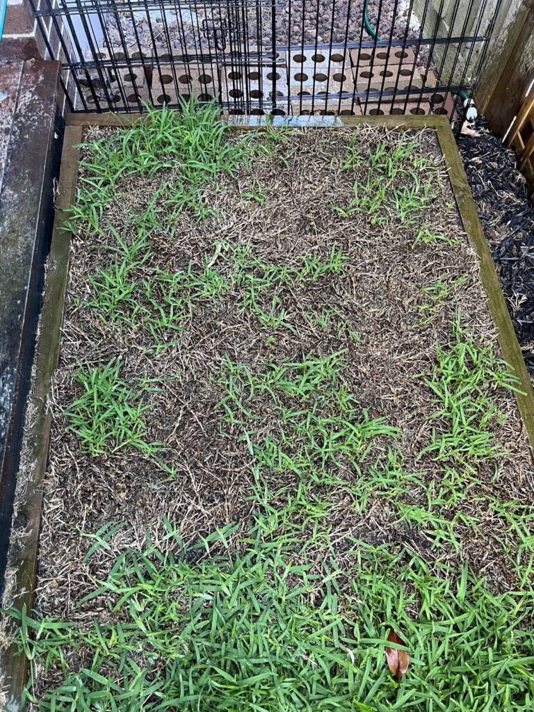 Advice on how to proceed