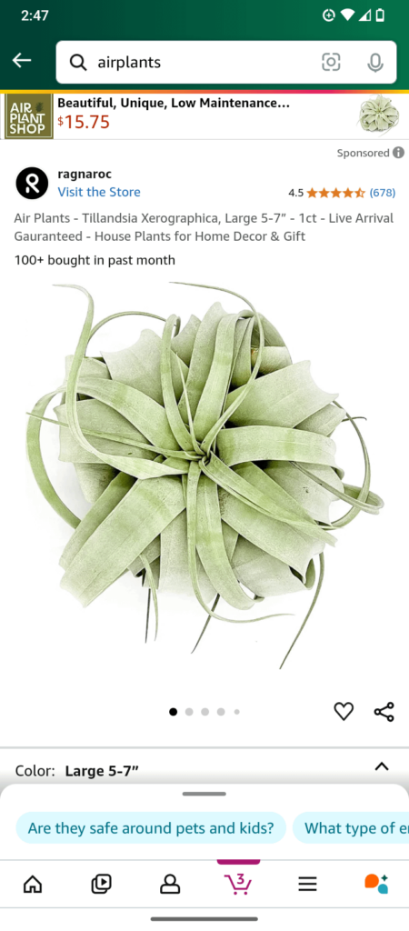 Where can I get affordable air plants ?