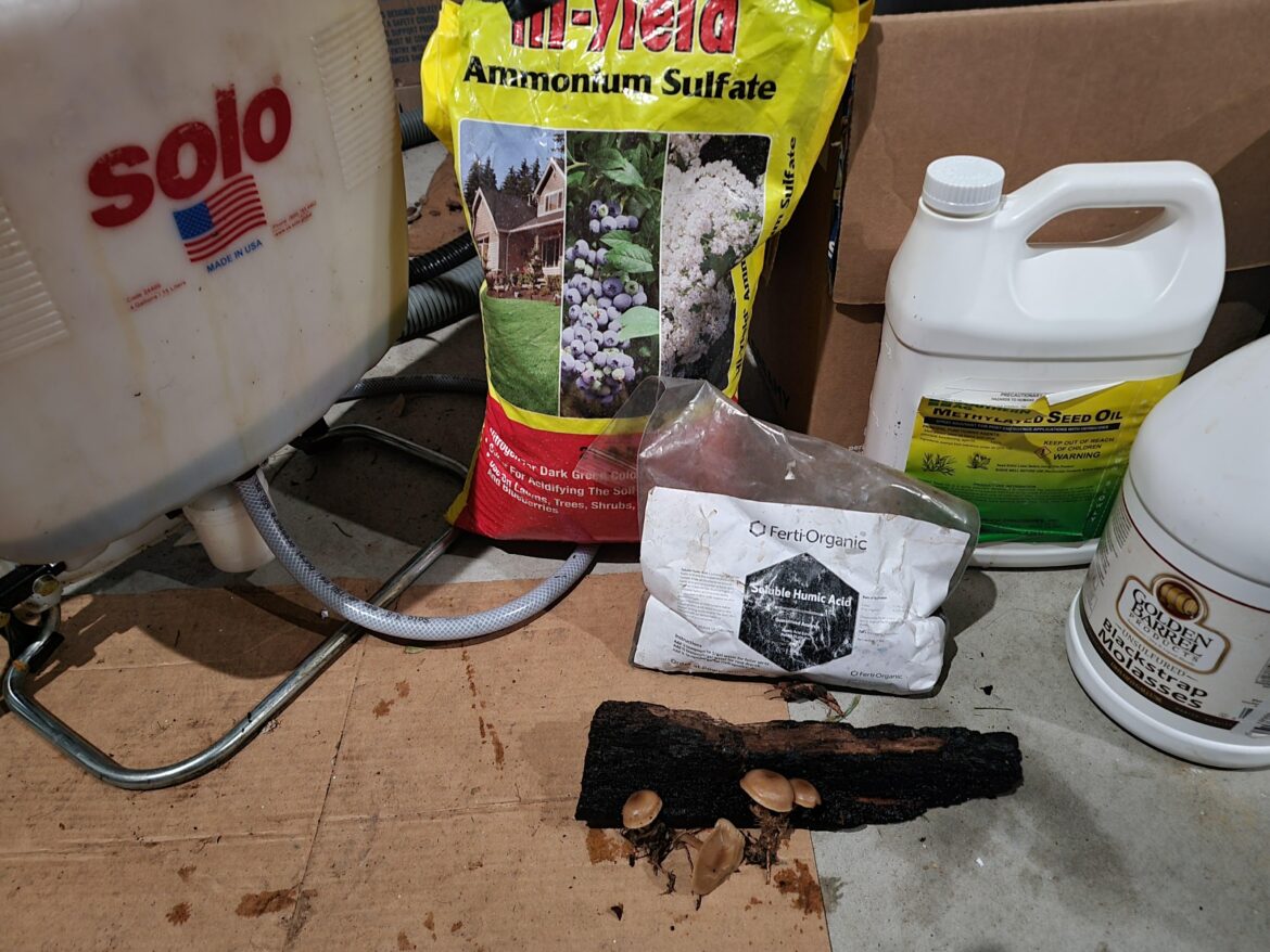 Snow melted today. Perfect opportunity to feed and spread some fungi (reduce thatch, prevent future disease) thought I’d share the recipe (compost tea basically) Snow melted today. Perfect opportunity to feed and spread some fungi (reduce thatch, prevent future disease) thought I'd share the recipe (compost tea basically)