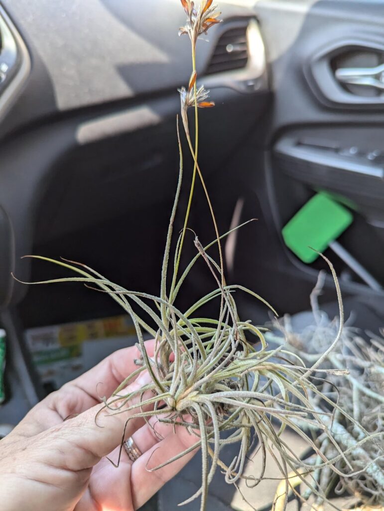 I need a bumper sticker...