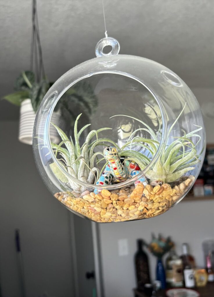 Slow & steady wins the race