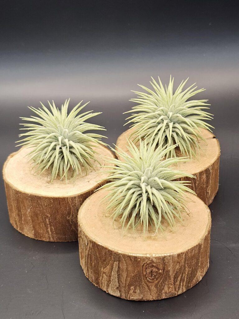 Love these fluffy balls