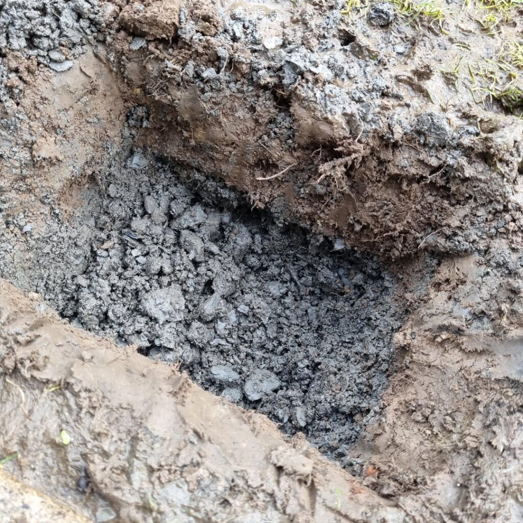 Help fixing waterlogged lawn