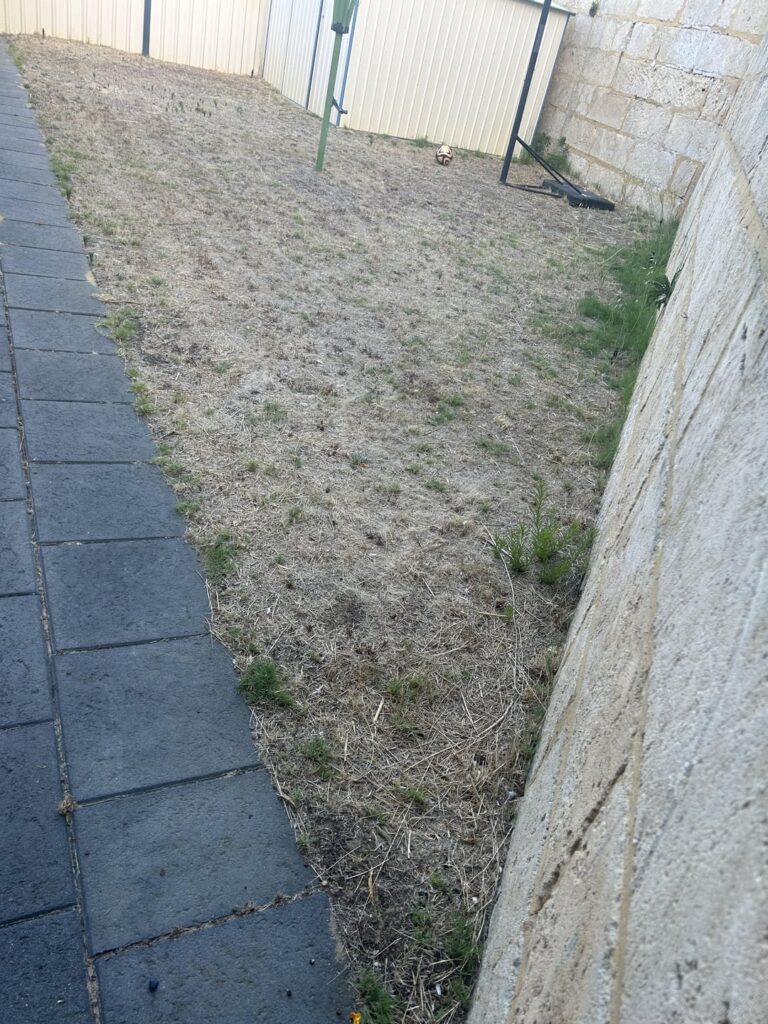 Where to even begin? Trying to fix the garden areas in our new house.