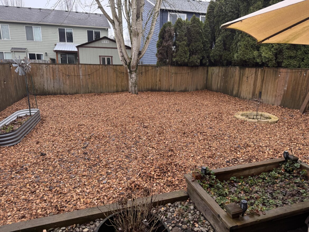 I gave up and turned my back yard into a dog park I gave up and turned my back yard into a dog park