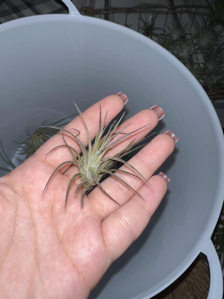 Is this normal or is there something wrong?