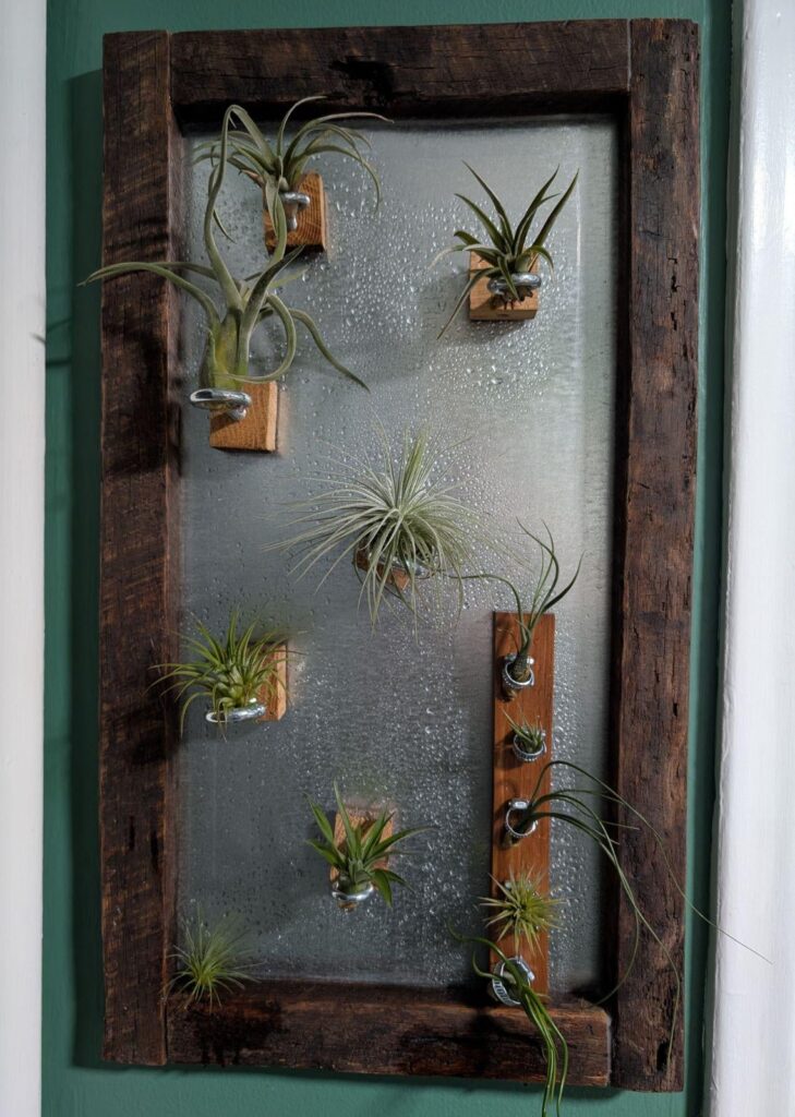 My collection (most of them)