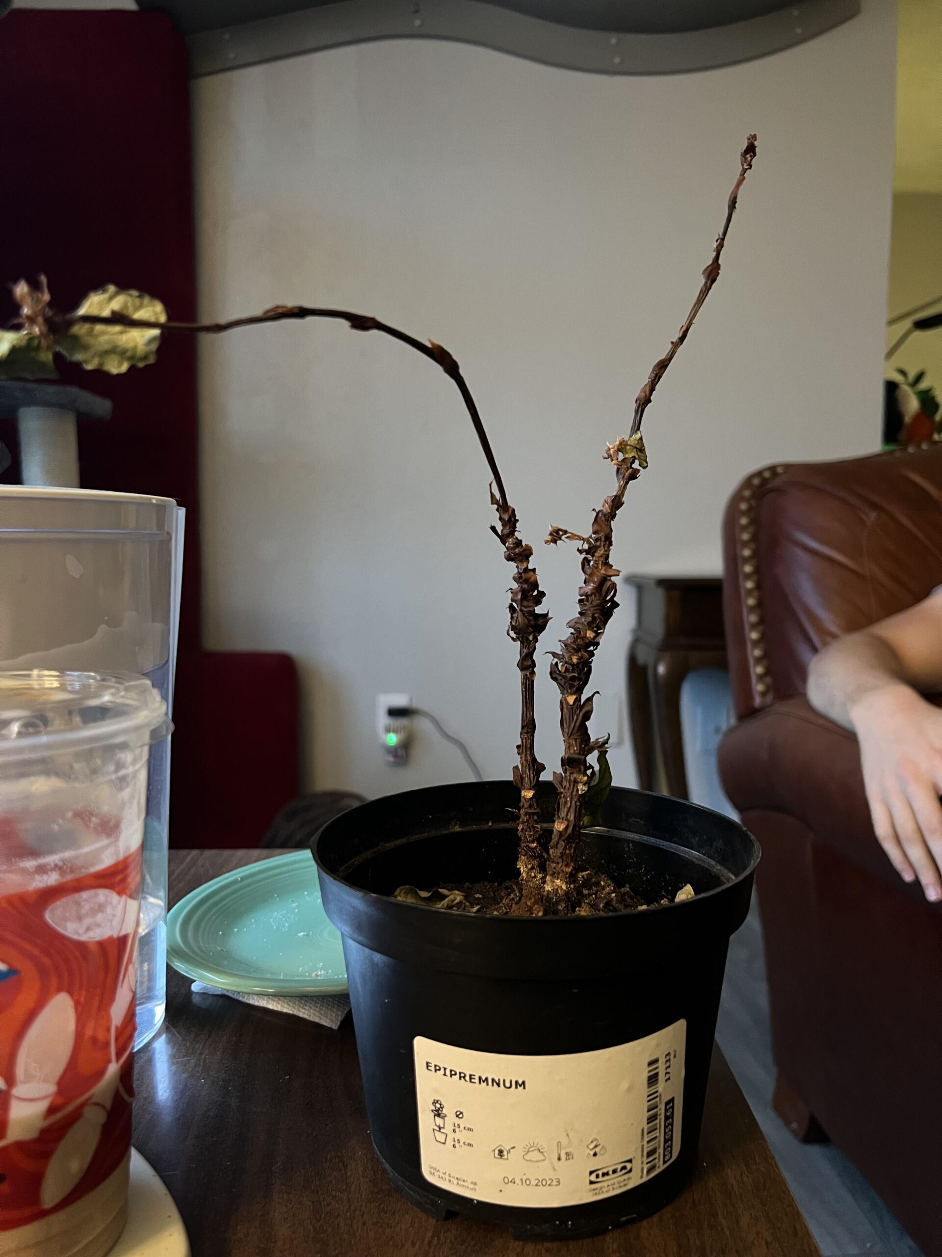 HOW MUCH FERTILIZER TO USE visual data 4