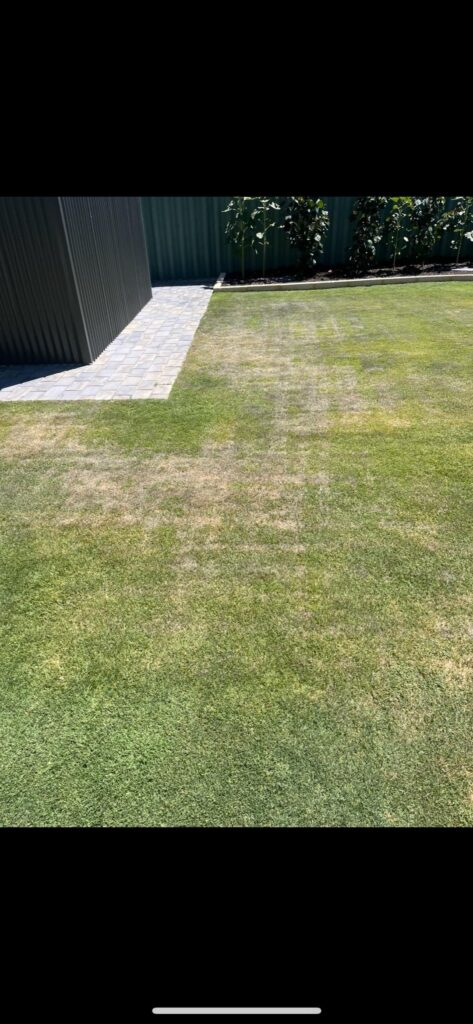 Not quite sure what’s going on Not quite sure what’s going on