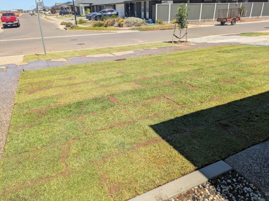 New lawn laid today