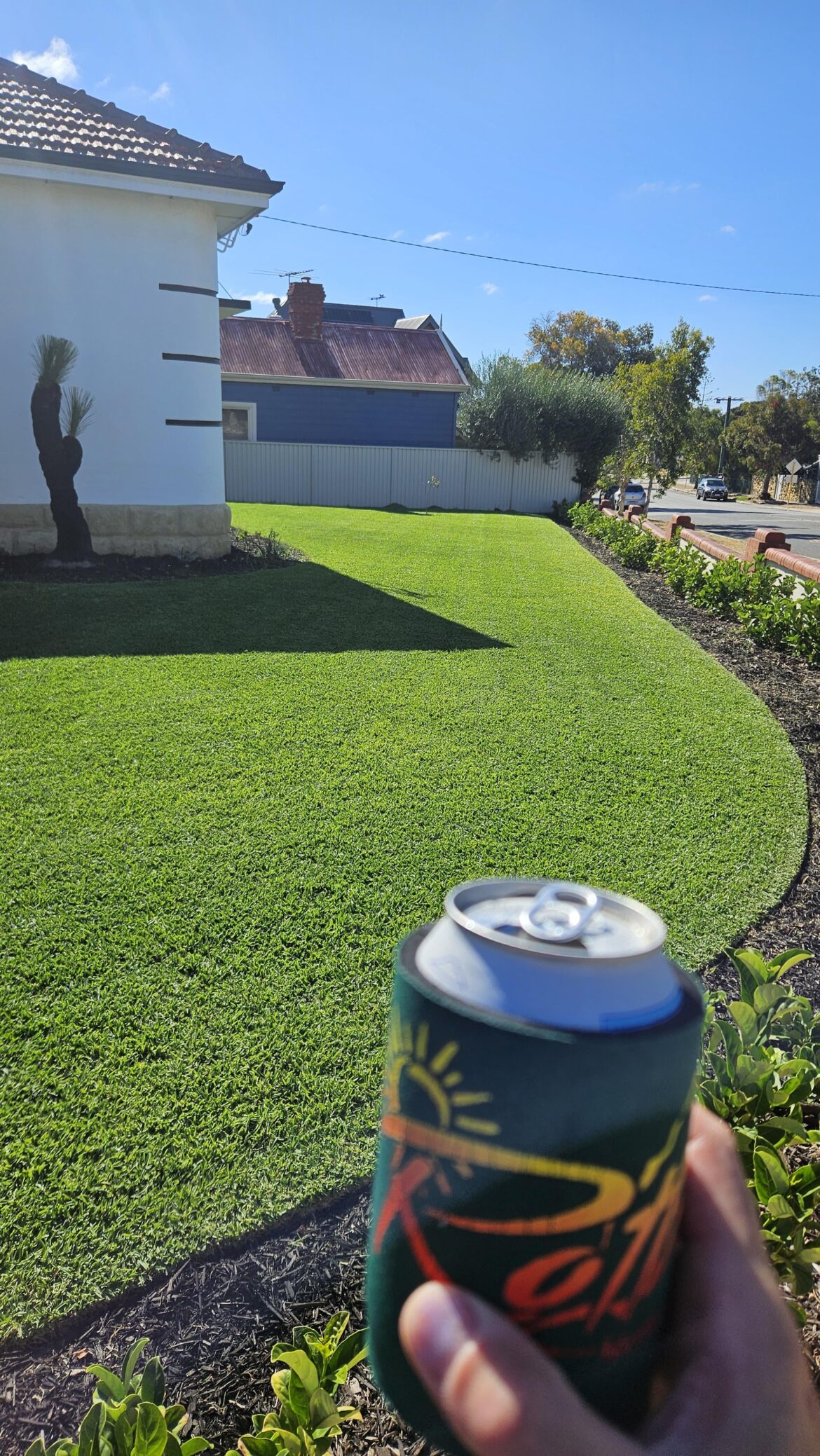 Couch grass in my sir walter buffalo