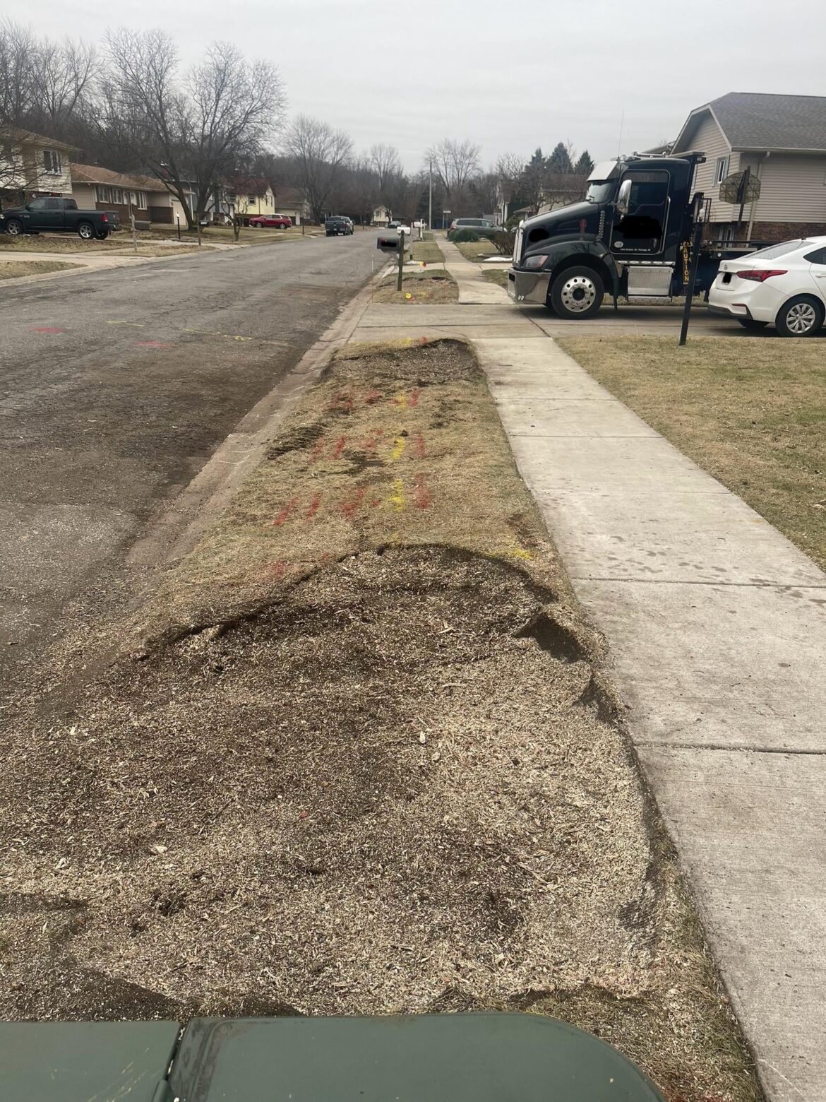 3 medium trees removed, stumps ground.. 3 medium trees removed, stumps ground..
