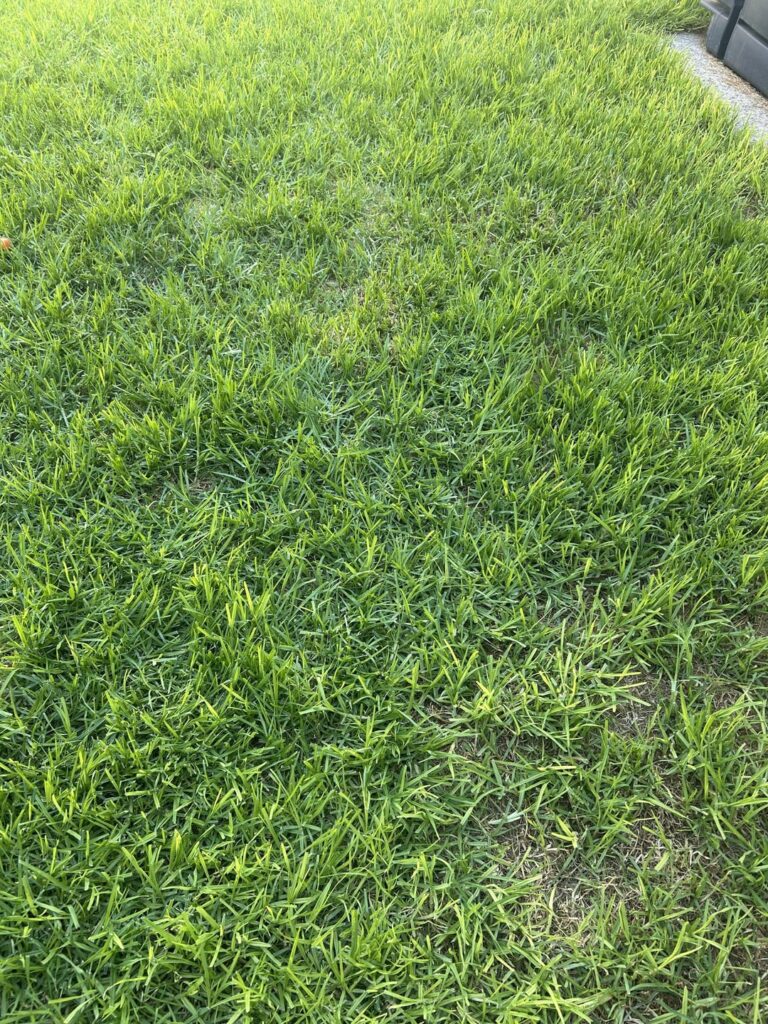 Newbie needs help. Newbie needs help.