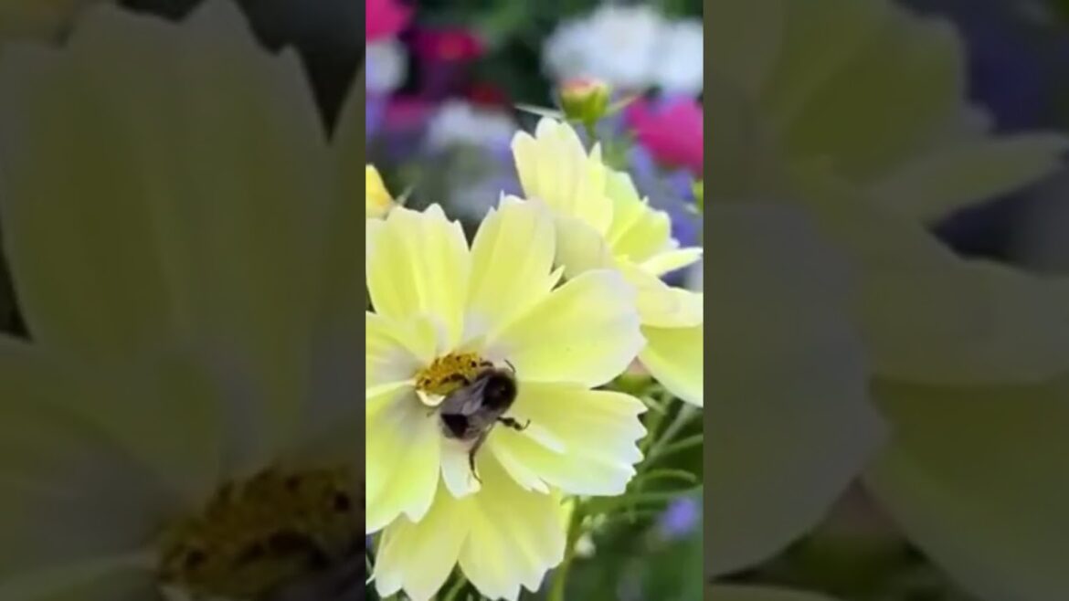 Perfect Outdoor Landscaping Ideas: Transform Your Garden, Your Style! Perfect Outdoor Landscaping Ideas: Transform Your Garden, Your Style!