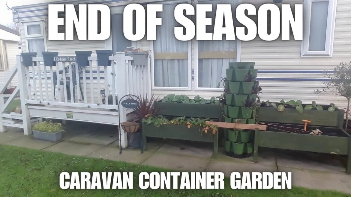 End Of Season At The Caravan Container Garden  [Container Gardening ]