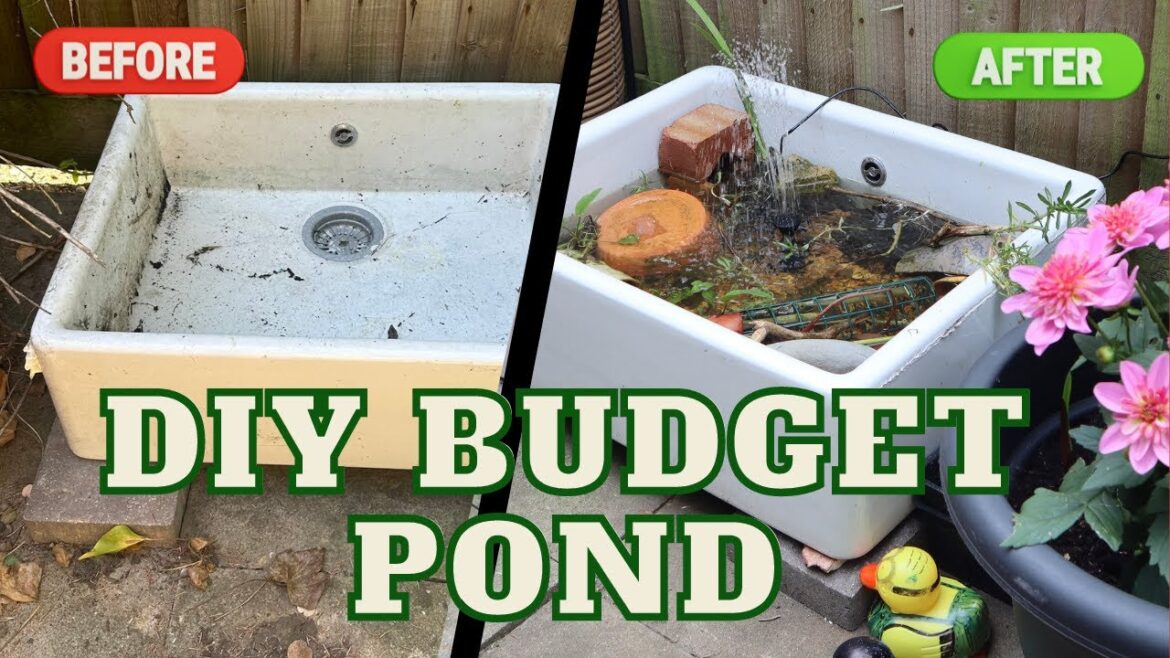 DIY GARDEN POND ON A £20 BUDGET FOR WILDLIFE, SMALL GARDEN DESIGN, SLOW LIVING & FRUGAL LIFE VLOG DIY GARDEN POND ON A £20 BUDGET FOR WILDLIFE, SMALL GARDEN DESIGN, SLOW LIVING & FRUGAL LIFE VLOG