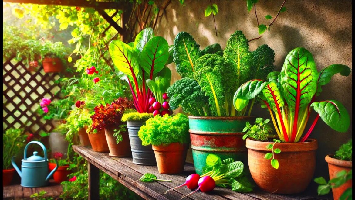 7 Shade-Loving Vegetables That Will Thrive in Your Container Garden! 7 Shade-Loving Vegetables That Will Thrive in Your Container Garden!
