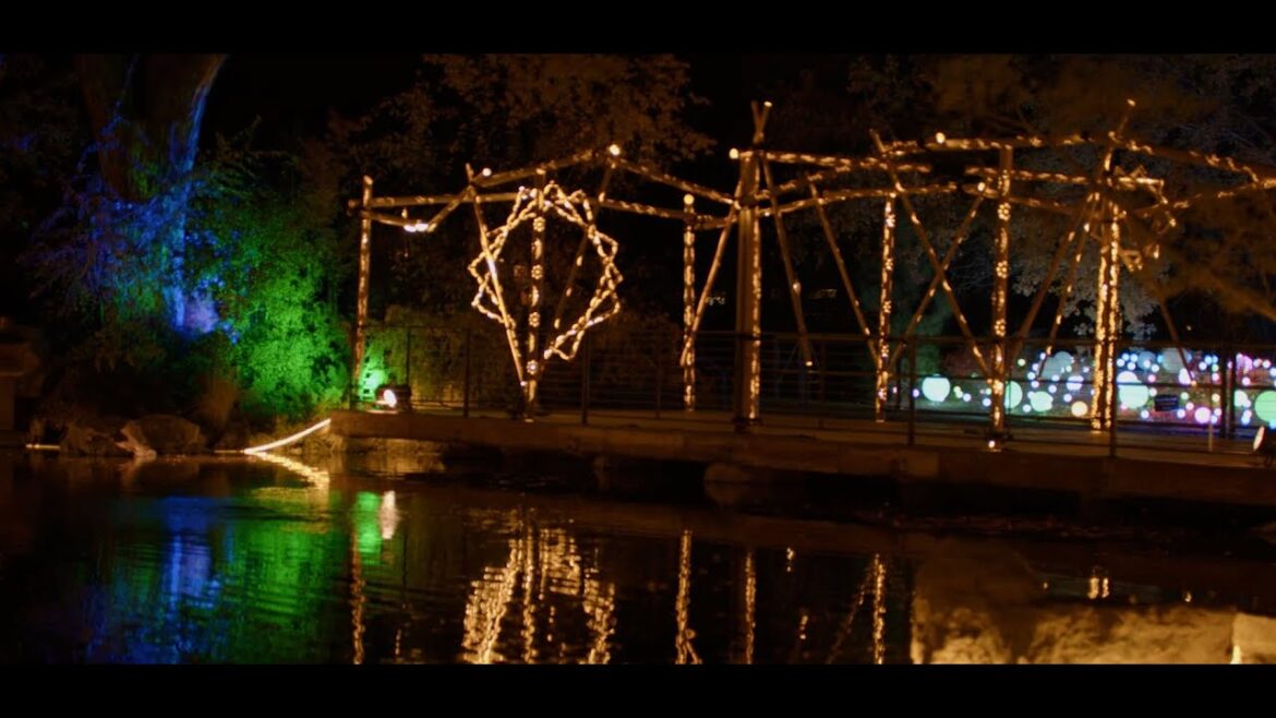 Sasebo Japanese Garden at ABQ BioPark gets illuminated by River of Lights’ intricate display #abq Sasebo Japanese Garden at ABQ BioPark gets illuminated by River of Lights’ intricate display #abq