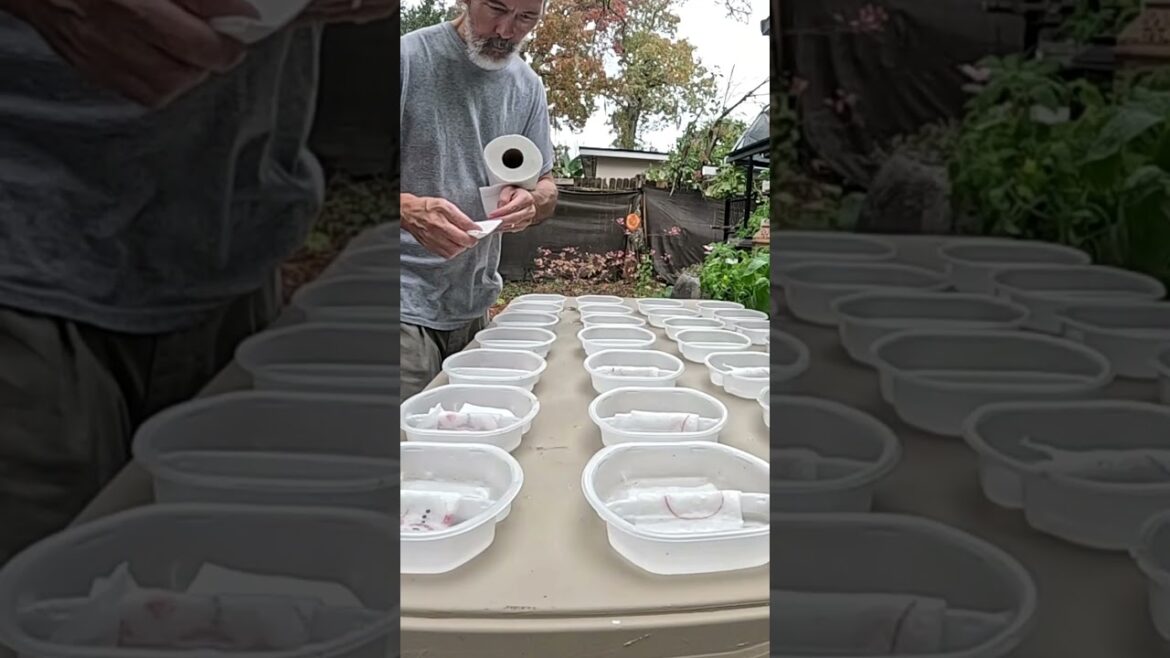 Container Gardening #reducereuserecycle #growyourownfood