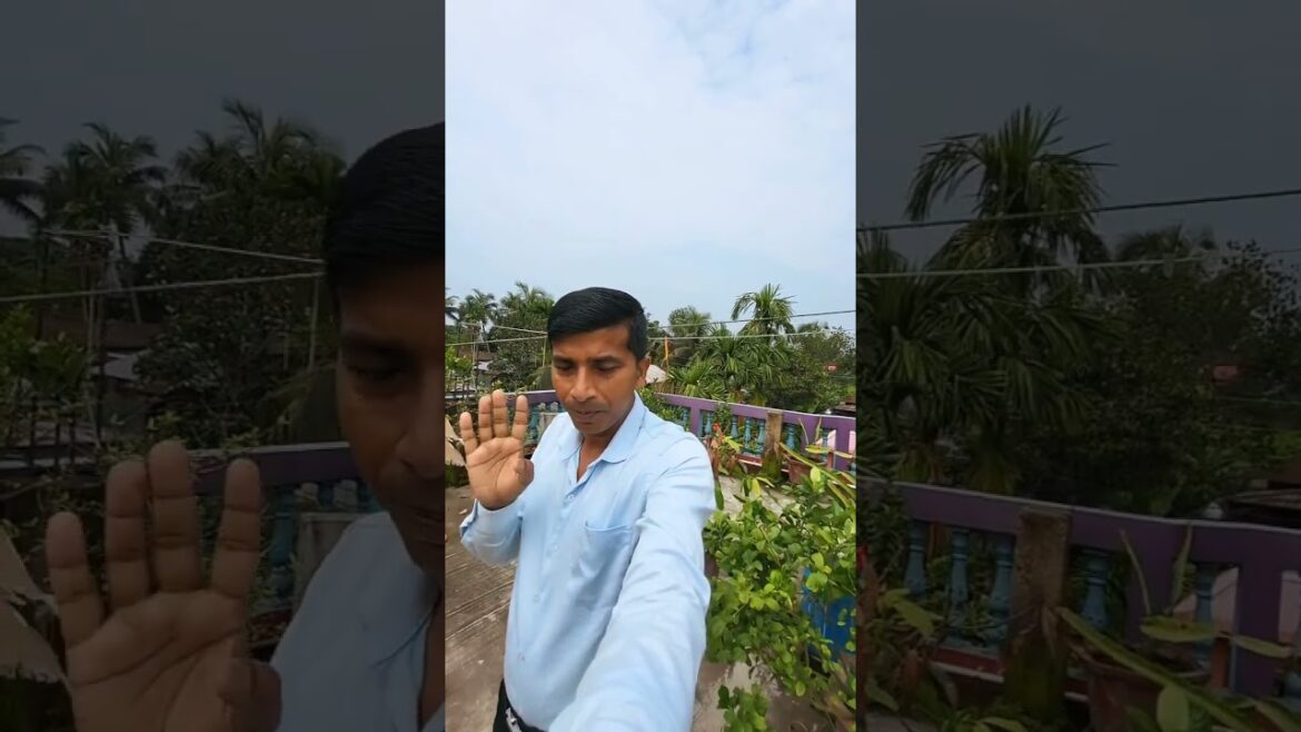 Rooftop Garden #SanjoyGhoshvlogs #shorts