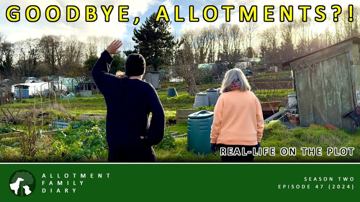 THE END OF OUR ALLOTMENT JOURNEY? | ALLOTMENT GARDENING UK THE END OF OUR ALLOTMENT JOURNEY? | ALLOTMENT GARDENING UK