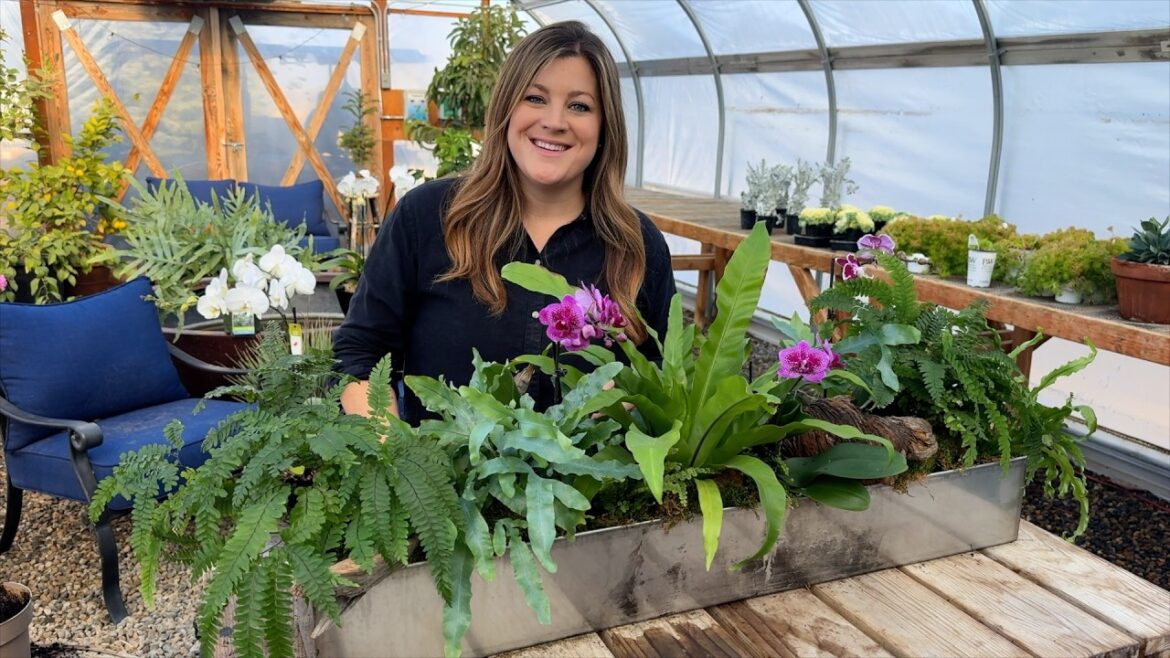 New Plants for a New Year: Fern Centerpiece & Gorgeous Orchids! 🌿🪴🌿 // Garden Answer