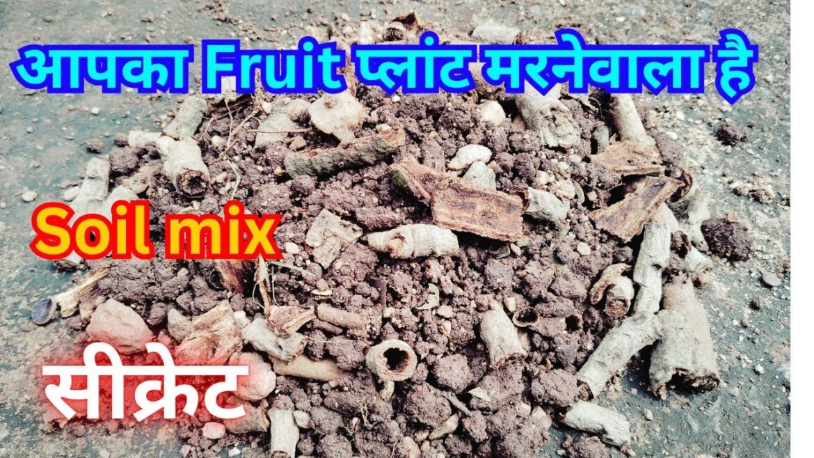 Organic potting soil//Gardening tips #gardening