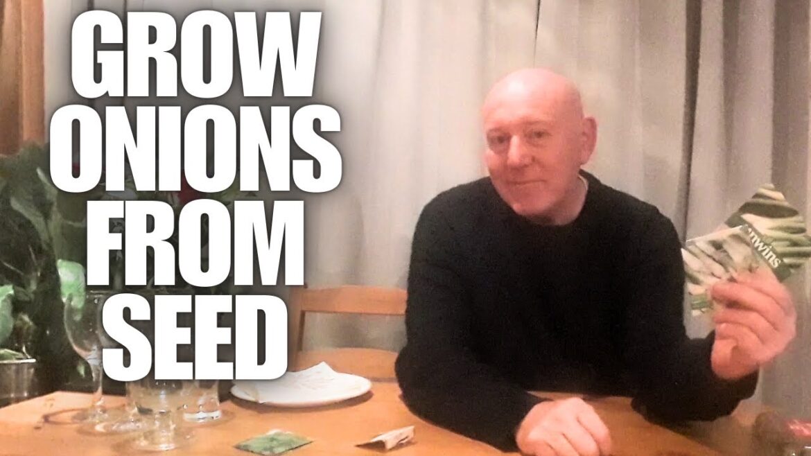 How To Grow Onions From Seed  [Container Gardening ]