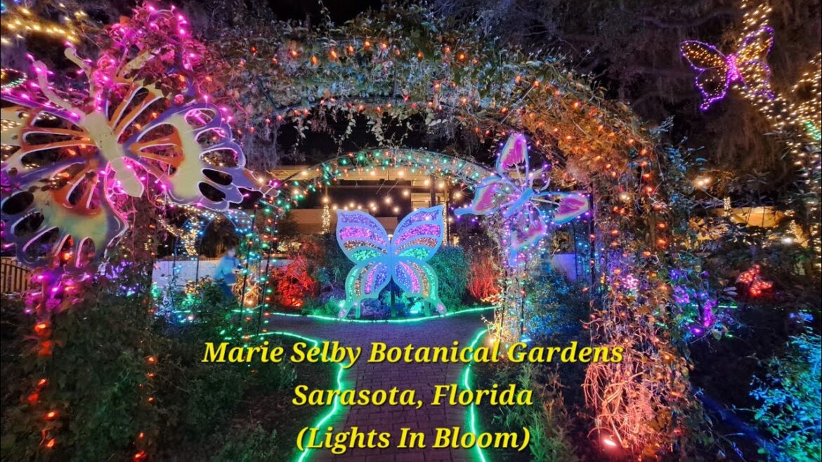 Christmas At Marie Selby Botanical Gardens (Lights In Bloom) - Sarasota, FL