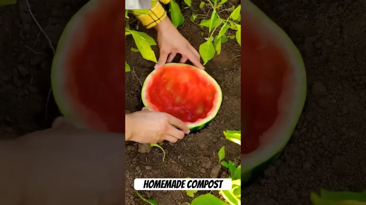 Homemade compost with food leftovers for lush garden #diy #compost Homemade compost with food leftovers for lush garden #diy #compost