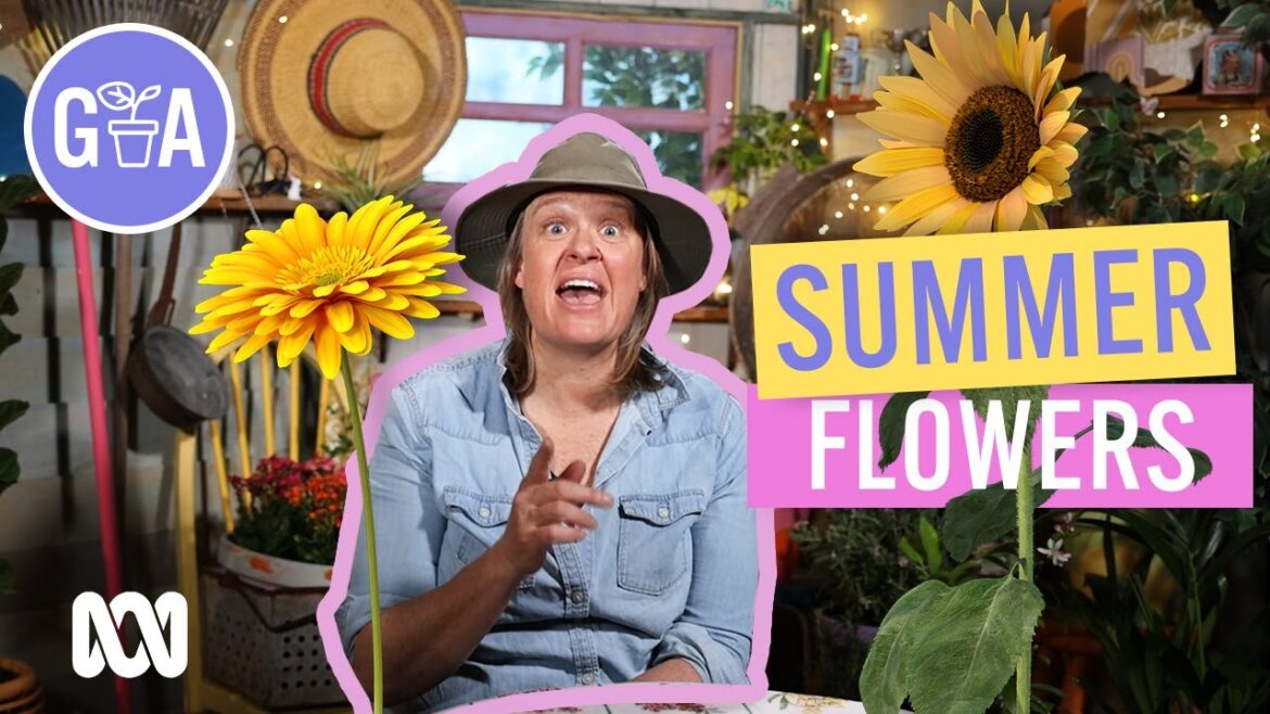 Summer Flowers to Plant NOW!! | Garden Design | Gardening Australia #gardeningaustraliajr Summer Flowers to Plant NOW!! | Garden Design | Gardening Australia #gardeningaustraliajr