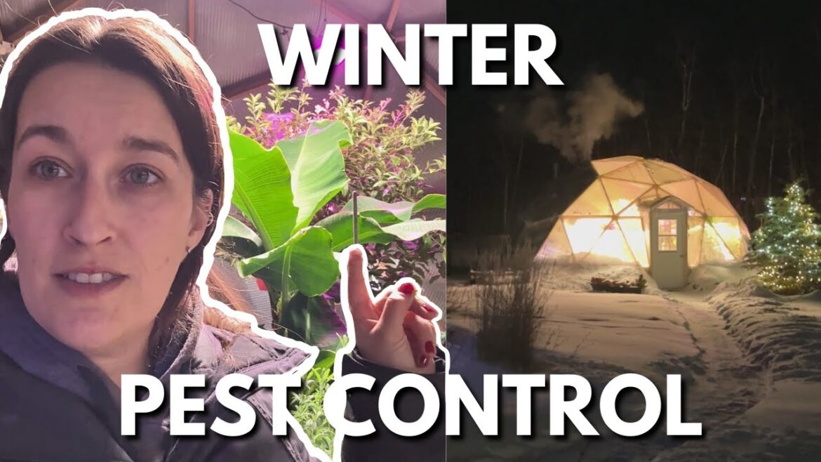 Winter Pests Control | Geodesic Dome Greenhouse in Alberta, Canada