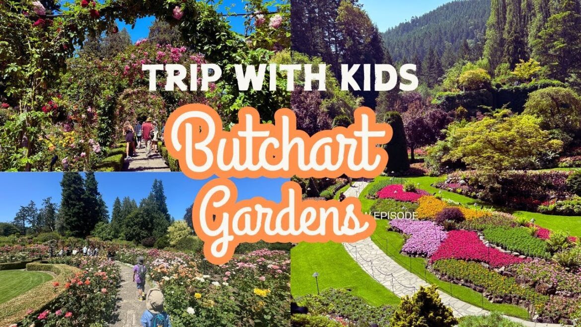 Trip with Kids #Butchartgardens #victoriabc ~Sunken Garden, Japanese Garden, Rose Garden & more! Trip with Kids #Butchartgardens #victoriabc ~Sunken Garden, Japanese Garden, Rose Garden & more!