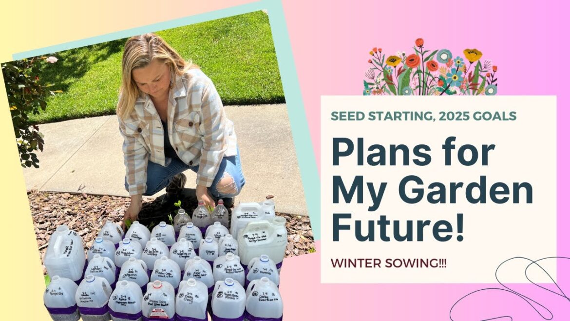 FUTURE PLANS, SEED STARTING, MY GARDEN, MY 2025 DREAM GOAL & QUESTIONS FOR YOU | The Southern Daisy FUTURE PLANS, SEED STARTING, MY GARDEN, MY 2025 DREAM GOAL & QUESTIONS FOR YOU | The Southern Daisy