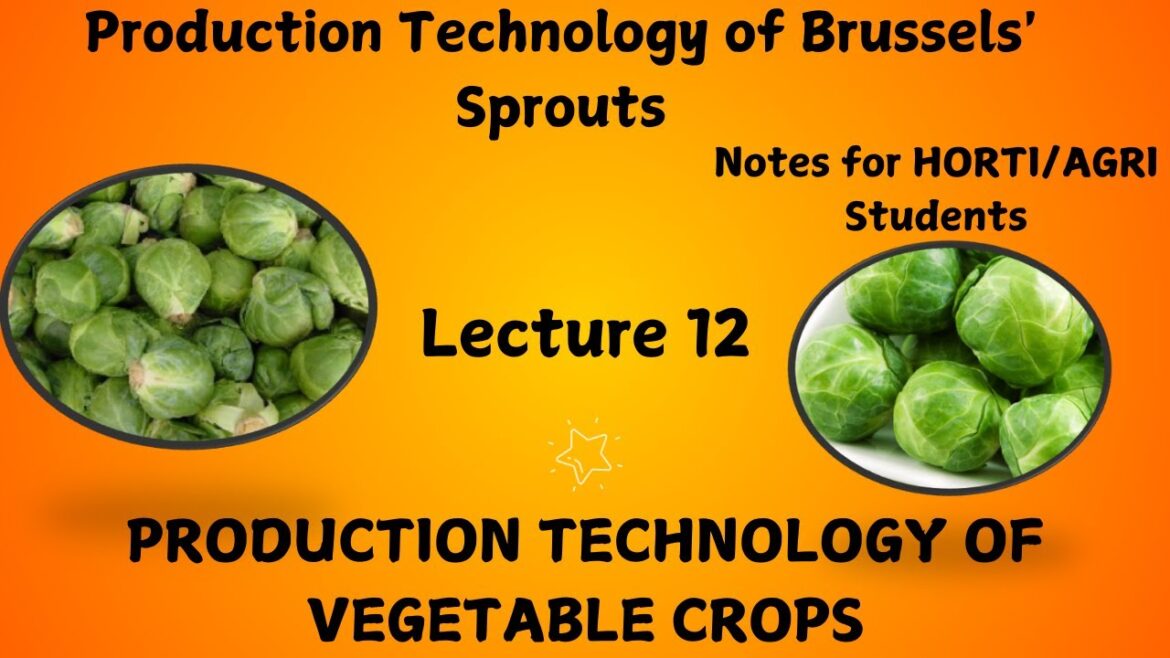 Lecture 12  : Notes on Brussels Sprouts | Production Technology of Vegetable Crop | VSF-121|HORT-211
