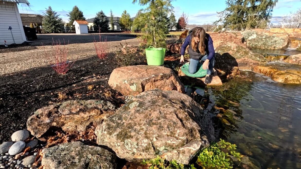 Pond Plant Maintenance & Playing with Pansies! 💙🪴🌸 // Garden Answer