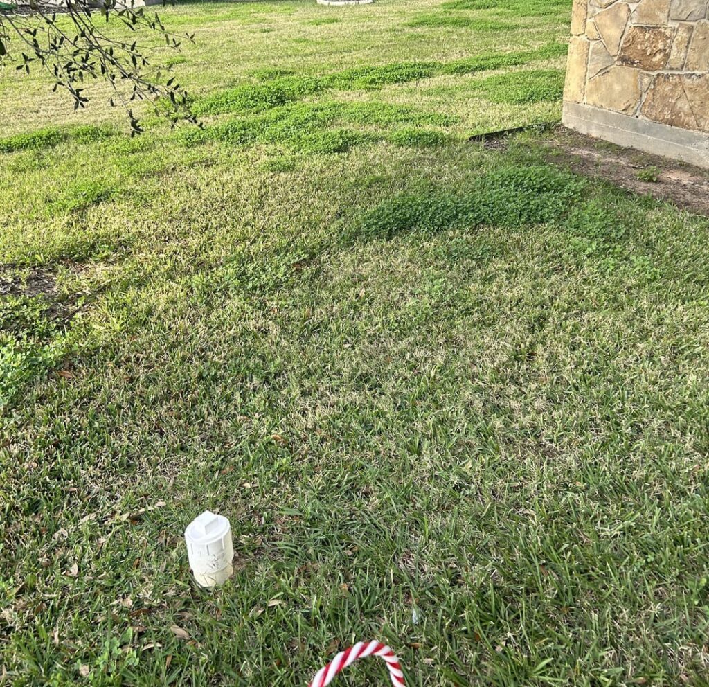 New home. Any tips for getting rid of these large patches of what I assume are a weed? Thanks!