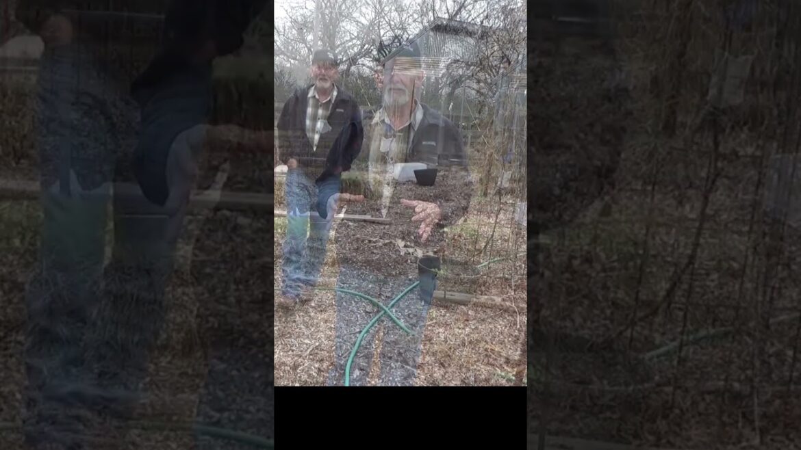 Water and your container garden #gardening #growyourownfood #garden101 #urbanfarming Water and your container garden #gardening #growyourownfood #garden101 #urbanfarming