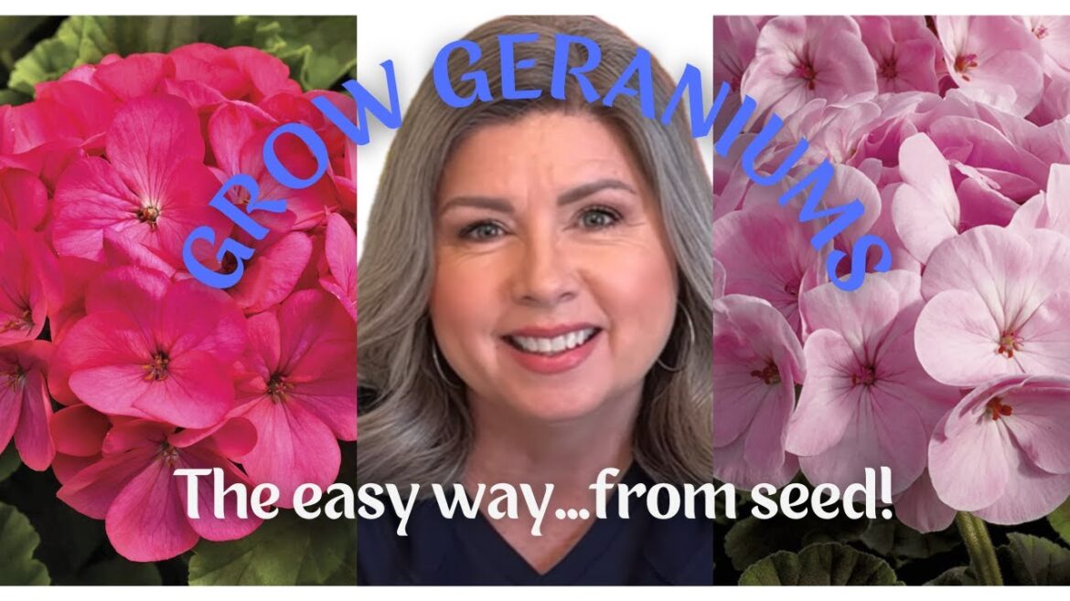 Discover The Secret To Successful Seed Starting In Self-watering Trays!