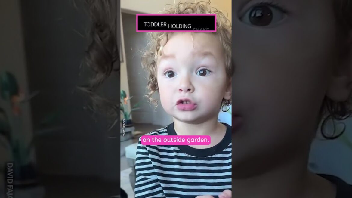 Brave Boy Holds Snake He Found In The Garden! ππ² Brave Boy Holds Snake He Found In The Garden! ππ²