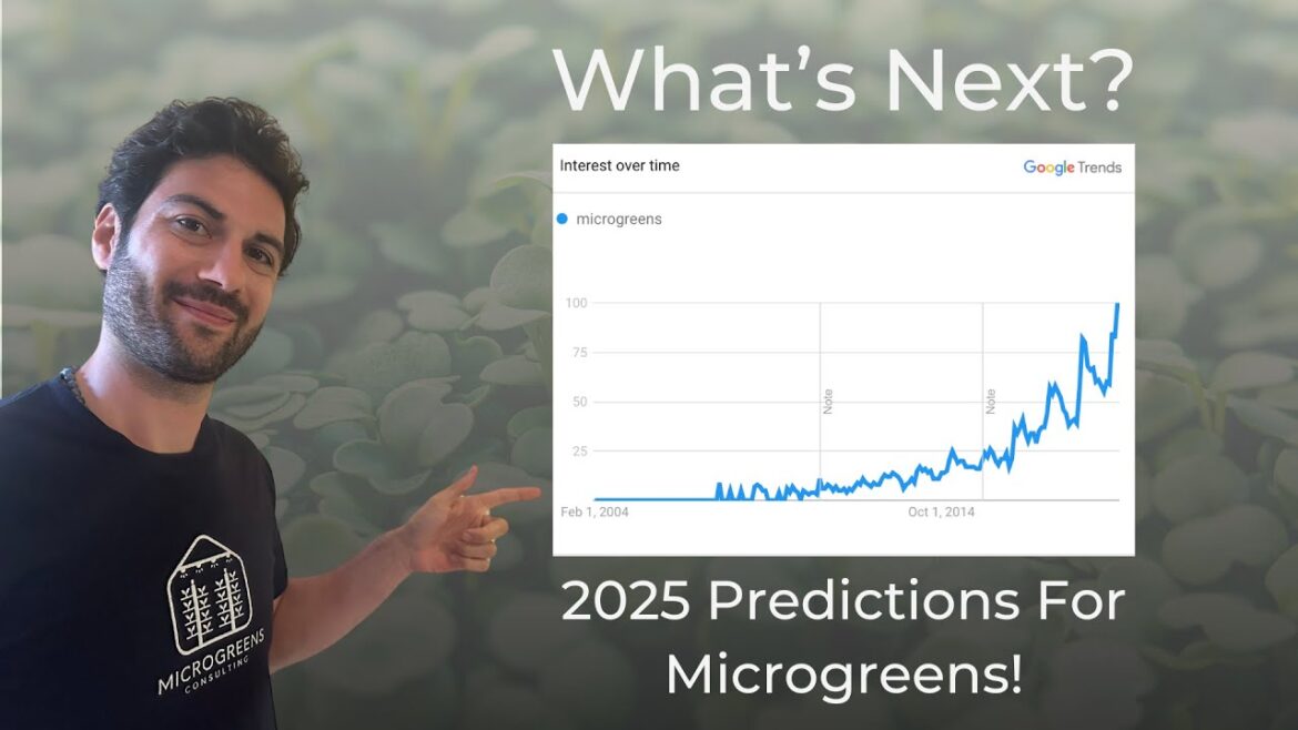 The Next BIG Thing in Microgreens: 2025 Trends Revealed The Next BIG Thing in Microgreens: 2025 Trends Revealed