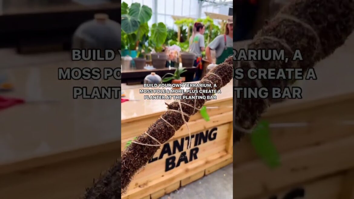 ✨ GIVEAWAY - $200 Gift Card to Green Acres Nursery & Supply! Grow Your Green Thumb with Inspiring