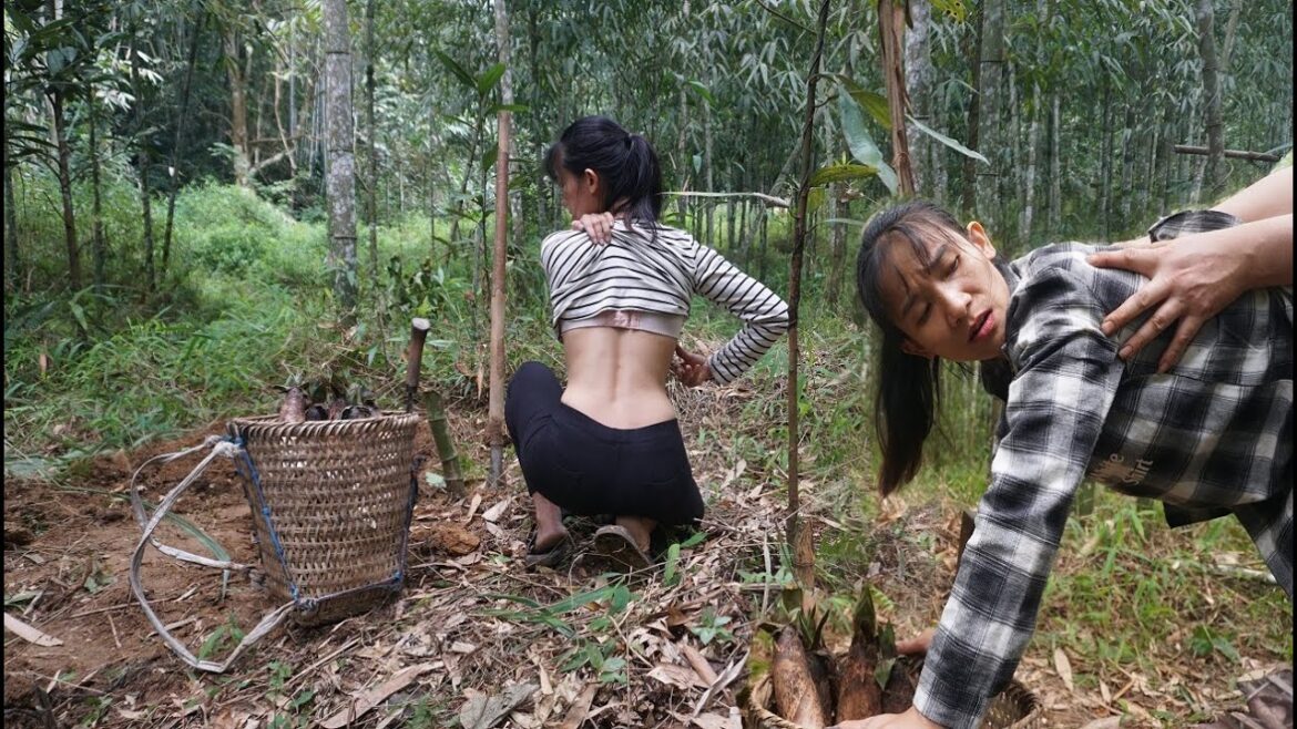 Vegetable gardening. Taking care of the pig farm. My life.