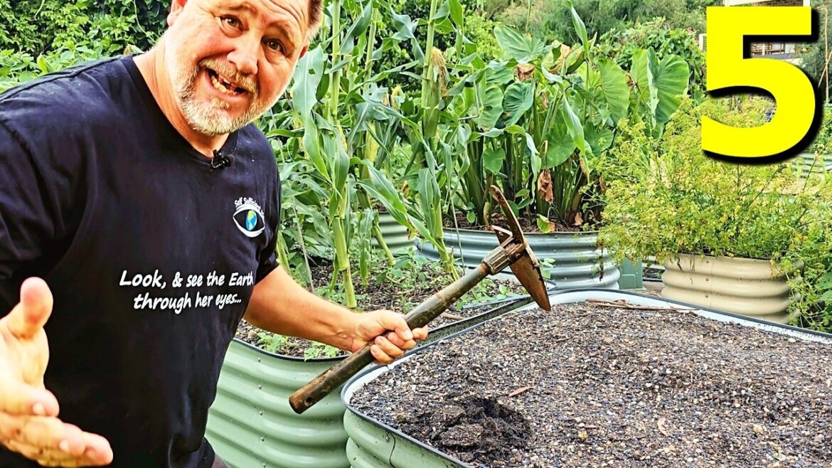 5 REASONS Why a FOOD Garden Should Be Your NEW YEAR’S Resolution 5 REASONS Why a FOOD Garden Should Be Your NEW YEAR'S Resolution