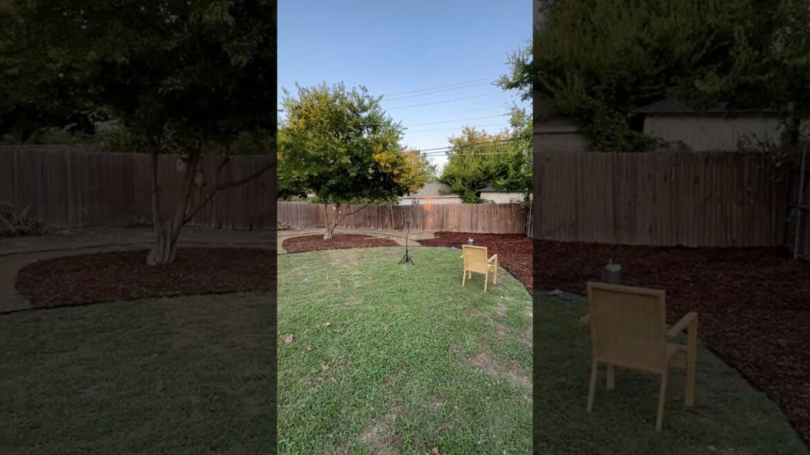 PART 7 of transforming our backyard!! 🌳